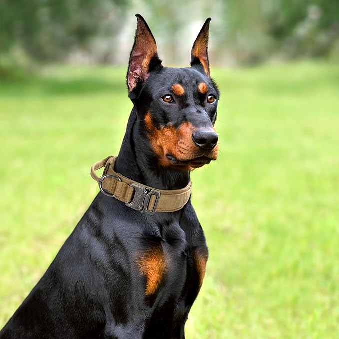 Tactical Dog Collar Set, Adjustable Military Training Nylon Dog Collar with Control Handle and Heavy Quick-Release Metal Buckle for Small Medium Large Dogs, Brown Set XXL