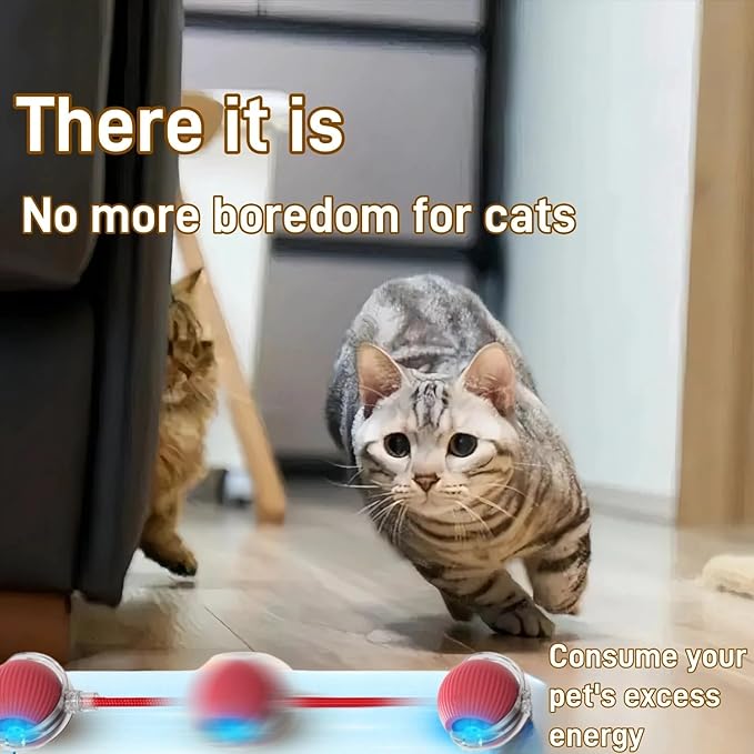 Interactive Cat Toys for Indoor Cats, Agility Move Cat Balls,Motion Activated Cat Balls, Cat Toys for Bored Indoor Cats（Green）