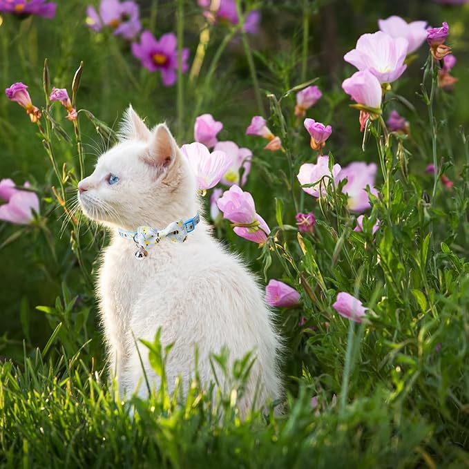 SCENEREAL Breakaway Cat Collar with Bell, 2 Pack Safety Adjustable Cat Collars with Pendant, Personalised Puppy Kitten Collar with Bow for Spring Summer Boys Girls, Lemon Bee