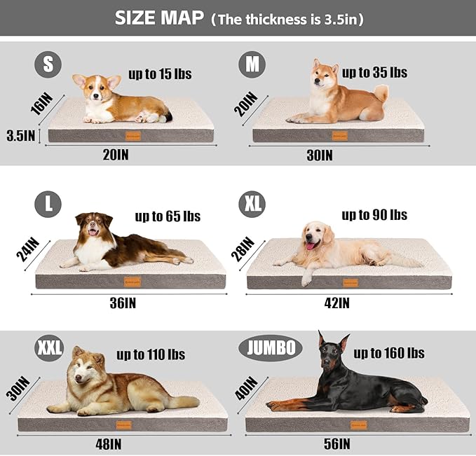 Patas Lague Orthopedic XL Dog Bed Large Sized Dog 48''X30'', Soft Waterproof Egg Crate Foam Large Pet Crate Beds Mat with Removable Washable Cover and Non-Slip Bottom, Ivory