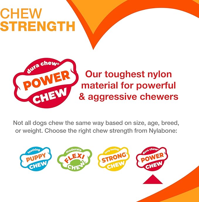 Nylabone Textured Bone Power Chew Toy for Dogs, Durable & Tough Dog Toys for Aggressive Chewers, Beef Jerky Flavor, Small Dogs - Up to 25 Ibs, 1 Count