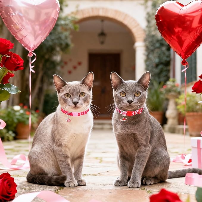 PUPTECK Breakaway Cute Cat Collar with Bell Charm for Kitty, 2 Packs Adjustable Kitten Collars Rose and Love Pattern, Red Pink Heart, 7.8-11.8 in