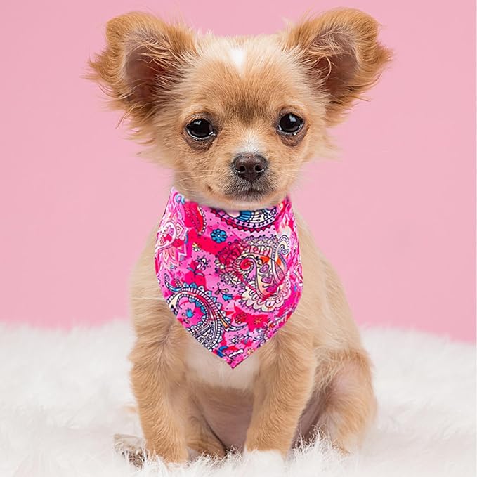 30 Pack Paisley Dog Bandanas for Small Dogs Stitch Bandanas Bulk Reversible Polyester Print One Side Dog Bandana Party Grooming S
