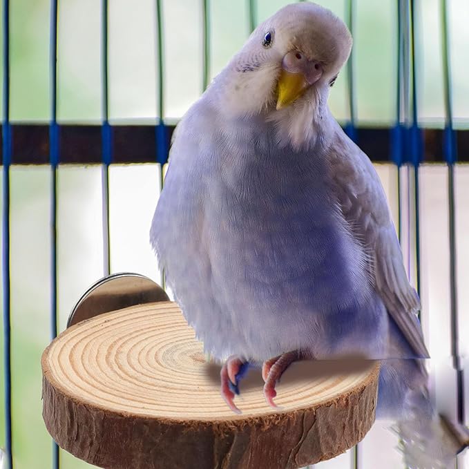 Wood Bird Perch Stand for Cage, Natural Round Wooden Parrot Platform Bird Perch Bird Toy for Canary Parakeet Cockatiel Parrot Budgie Sparrow (2 Pcs, 3.3inch & 2.7inch)