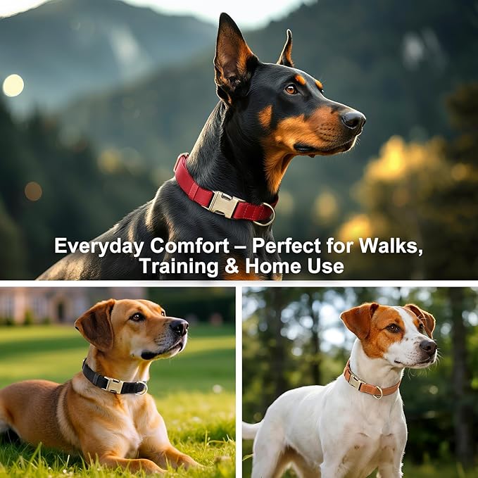 Plutus Pet Genuine Leather Dog Collar – Adjustable Pet Collar with Quick Release Metal Buckle, Soft Real Leather for Small Medium Large Dogs, Heavy Duty & Skin-Friendly (Purple, XS)