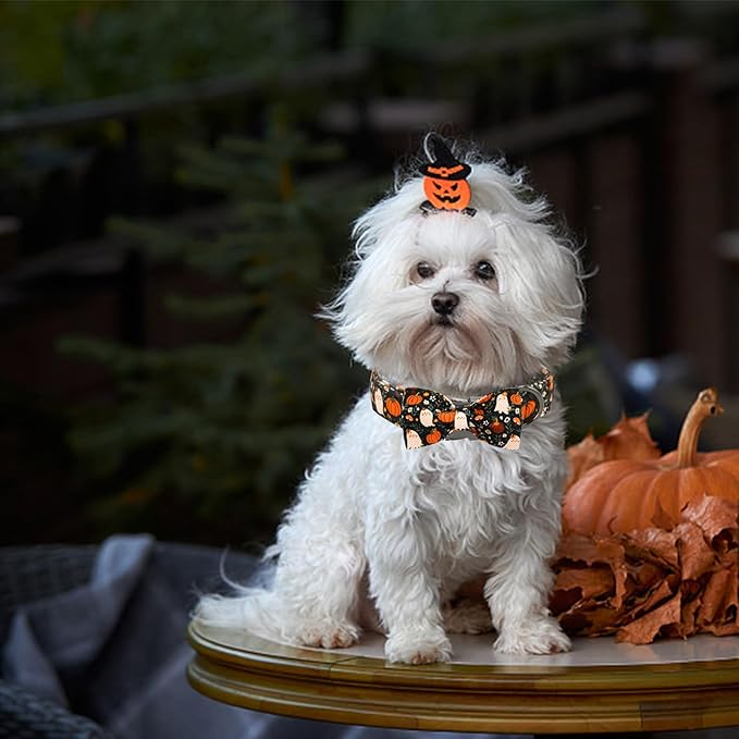 Halloween Dog Collar, Ghost Print Adjustable Pet Collar Fall Pumpkin Cute Cotton Soft Collars with Bow Tie Fall Metal Buckle Holiday Puppy Collars Boy&Girl Gift for Medium Dogs