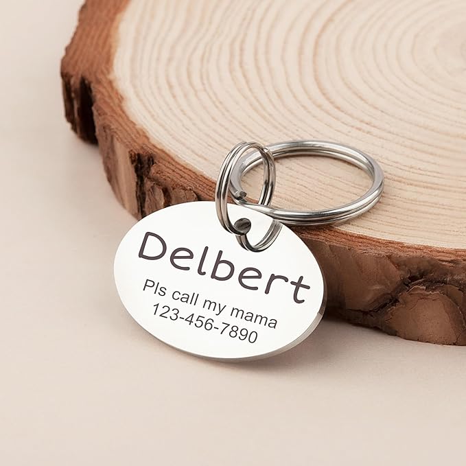 Anavia Personalized Pet ID Tags, Stainless Steel Glossy Laser Engraved Dog Cat Collar Name Tags, Multiple Colors Shapes Sizes (Oval, Regular)