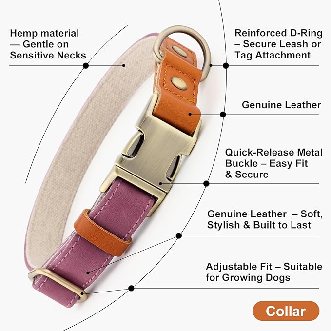 Plutus Pet Genuine Leather & Hemp Dog Collar – Adjustable Heavy Duty Pet Collar with Quick Release Metal Buckle, Soft & Stylish for Puppy and Small, Medium, Large Dogs (Purple, S)