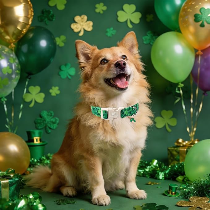 St. Patrick's Day Dog Collar, UP URARA PUP Shamrock Adjustable Pet Collar with Quick Release, St. Patrick's Day Dog Accessories for Small Medium Large Dogs