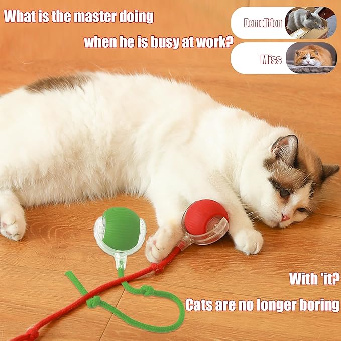 2025 New Interactive Dog Cat Toys Balls,Interactive Rolling Ball Cat Toy, 360° Smart Automatic Rolling Pet Ball, Fast Moving Toy for Dog and Cat(Red)
