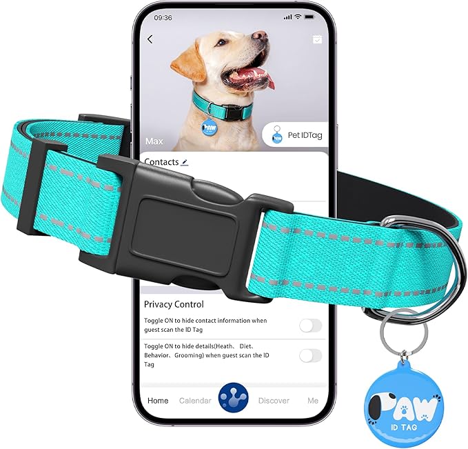 Reflective Dog Collar for Medium Dogs with Dog Tags Personalized & Quick Release Buckle, Adjustable and Comfortable Nylon Pet Collar, Mint Green