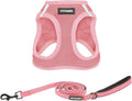 Best Pet Supplies Voyager Step-in Air All Weather Mesh Harness and Reflective Dog 5 ft Leash Combo with Neoprene Handle, for Small, Medium and Large Breed Puppies - Harness Leash Set (Pink), XS