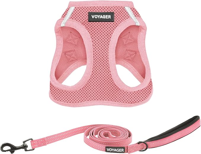 Best Pet Supplies Voyager Step-in Air All Weather Mesh Harness and Reflective Dog 5 ft Leash Combo with Neoprene Handle, for Small, Medium and Large Breed Puppies - Harness Leash Set (Pink), XS