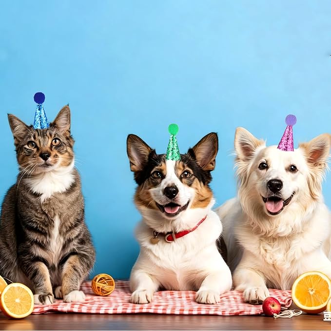 10PCS Small Party Hats for Stuffed Animals, Mini Birthday Hats for Stuffed Animals, Dogs, Cats, Adjustable Tiny Hat with Pom Poms, Holiday Birthday Costume Accessories