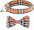 Yizepet Dog Collar with Bow Tie- Adjustable pet Collar for Dogs with Plastic Buckle Collar, Stylish Pattern for Small Medium or Large Boy and Girl Dog and Cat