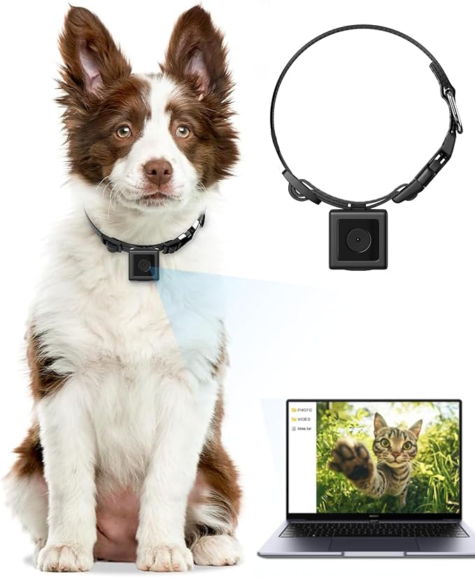 Dog Camera Collar 1080P HD Video Recording Pet POV Cam, NO WiFi NO APP, Body Camera for Dogs(No Micro-SD Card Included)