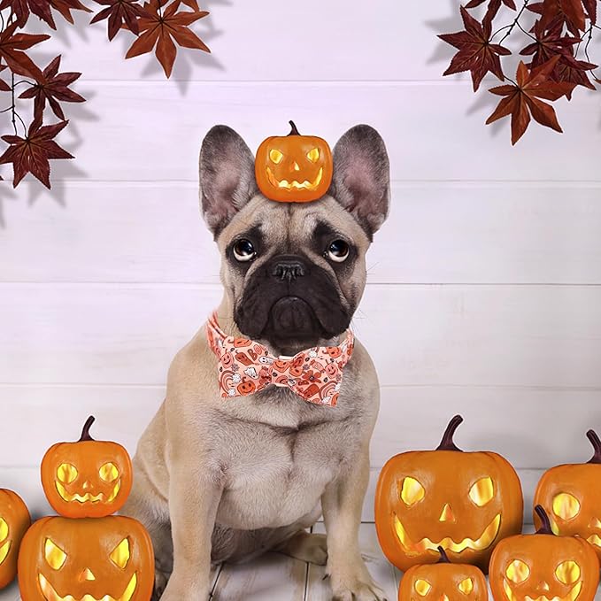 Halloween Dog Collar, Pet Collar Bow Pumpkin Pet Collar Girl Boy Holiday Pet Collars Gift Bow Dog Collar Cute Soft Puppy Collar for X-Small Puppy