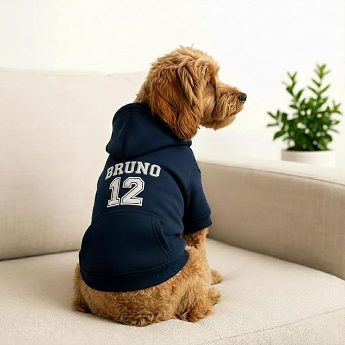 Personalized Dog Hoodie, Custom Embroidered Name Pet Hoodie, Warm Winter Outfit for Dogs, Pet Clothes, Gift for Dog Lovers 2