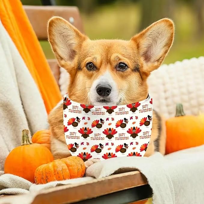 Thanksgiving Dog Bandana 2 Pack, All 4 Patterns Pumpkin Turkey Dog Scarf, Fall Autumn Leaves Pet Thanksgiving Bandanas for Medium Large Dogs, Triangle Reversible Fall Pet Scarf