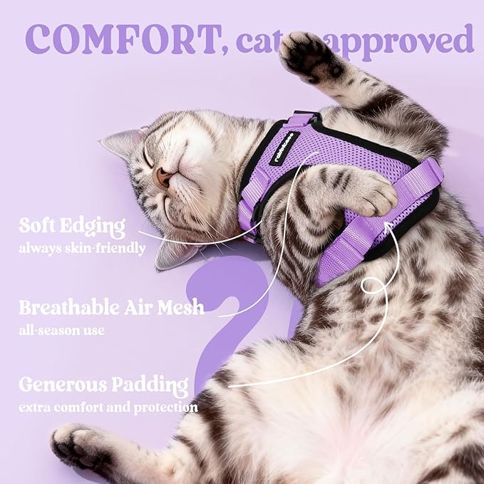 rabbitgoo Cat Harness and Leash for Walking, Escape Proof Soft Adjustable Vest Harnesses for Cats, Easy Control Breathable Reflective Strips Jacket, Light Purple, XXS