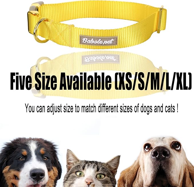 Nylon Dog Collar - Adjustable Yellow Soft Webbing Dog Collars for Small Medium Large Dogs Boy Girl Puppy Collar with Safety Metal Buckle M