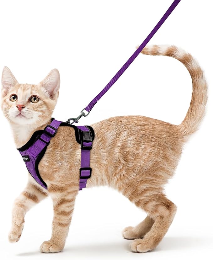 rabbitgoo Cat Harness and Leash for Walking, Escape Proof Soft Adjustable Vest Harnesses for Cats, Easy Control Breathable Reflective Strips Jacket, Purple, XS