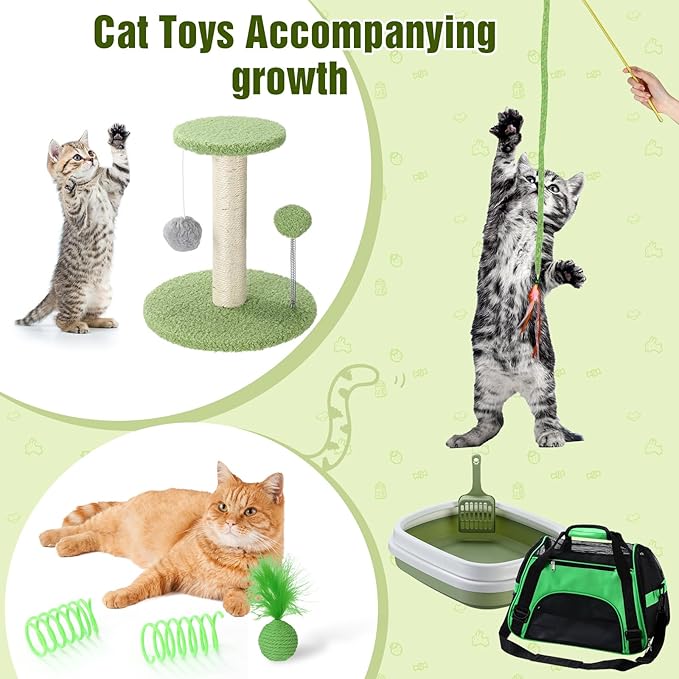 Eccliy Kitten Starter Kit, 10 Pcs Cat Starter Kit for Indoor Cats Kitten Essentials Includes Litter Box, Pet Toy, Folding Carrier, Climbing Frame, Mat, Collar, Automatic Food Bow(Classic,Green)