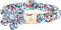 Lionheart Glory Floral Dog Collar - Cute, Soft & Durable Adjustable Collar for Small Dogs
