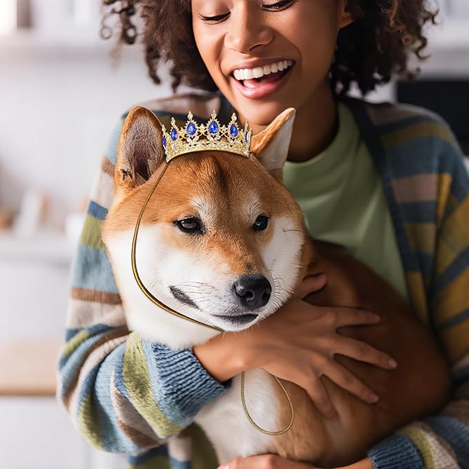Abbylike Pet Rhinestone King Crown, Queen Crown for Birthday New Year Costume for Small Dog Cat Cosplay Party Accessories Adoption Celebration Wedding Birthday Photos Prop Costume(Blue,Medium)