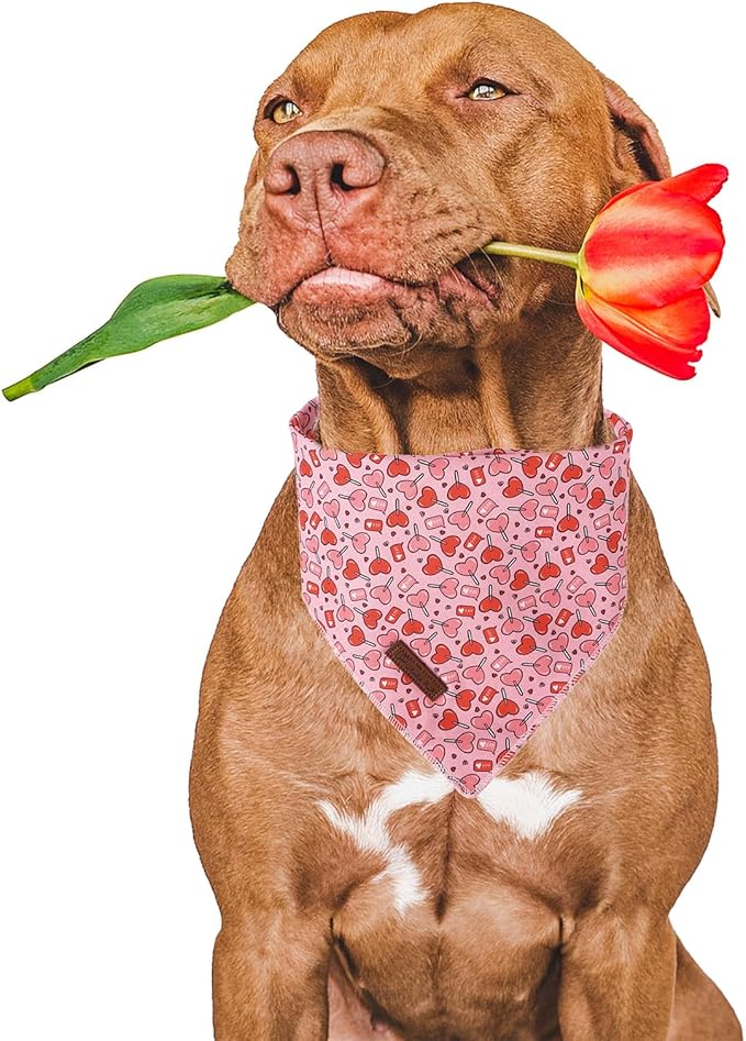 Valentine Dog Bandana - Pink Heart Triangle Bid Scarf for Small/Medium Dogs, Cats; Cotton Kerchief for Girl/Boy Pets, Red, Cute Adorable Puppy Bandana