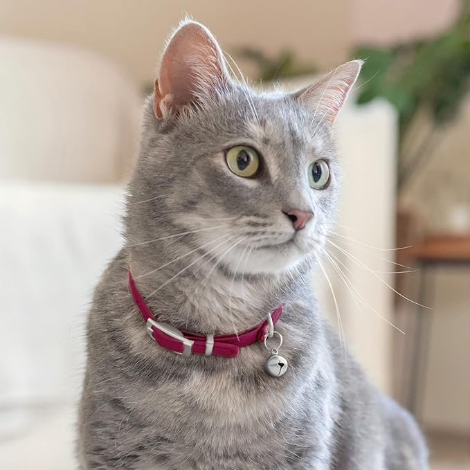 CollarDirect Leather Cat Collar with Bell - Kitten Collar, Small and Big Cat Collar for Boy Cats, Girl Cats with Safety Elastic Strap (Neck Fit 8"-11", Pink)
