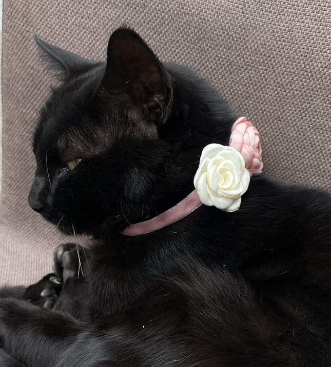 Fupo Pink Cat Collars for Girl Cats - Fancy Cat Collar Breakaway with Flowers Adjustable from 7.5" to 11.8" for Girl Kitten Puppy Small Cats Dogs (Pink)