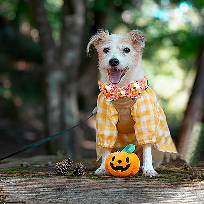 Fall Dog Collar, Pink Flower Pumpkin Print Adjustable Pet Collar Cute Cotton Soft Collars with Bow Tie Metal Buckle Holiday Puppy Collars Boy&Girl Gift for X-Small Dogs