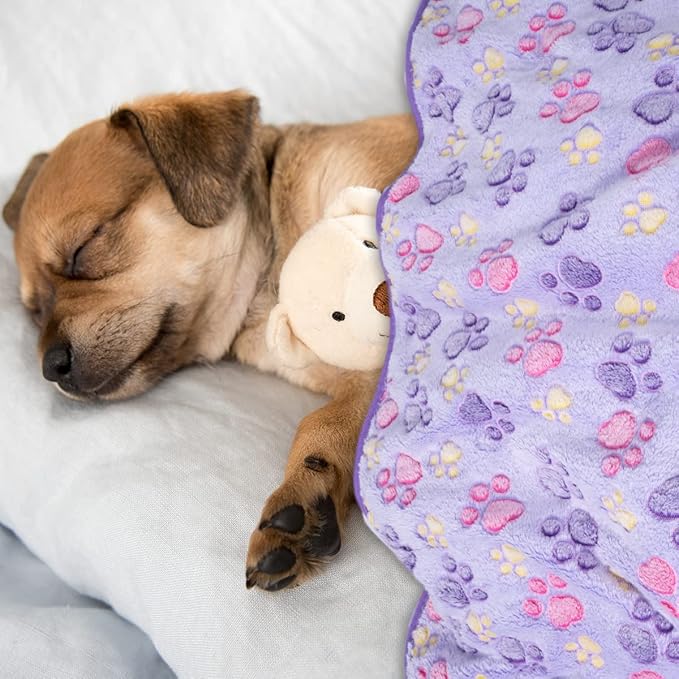 Dono 1 Pack 3 Dog Blankets, Soft Fluffy Fleece Pet Blanket Warm Sleep Mat Paw Print Design Puppy Kitten Throw Blankets Doggy Blanket for Dogs