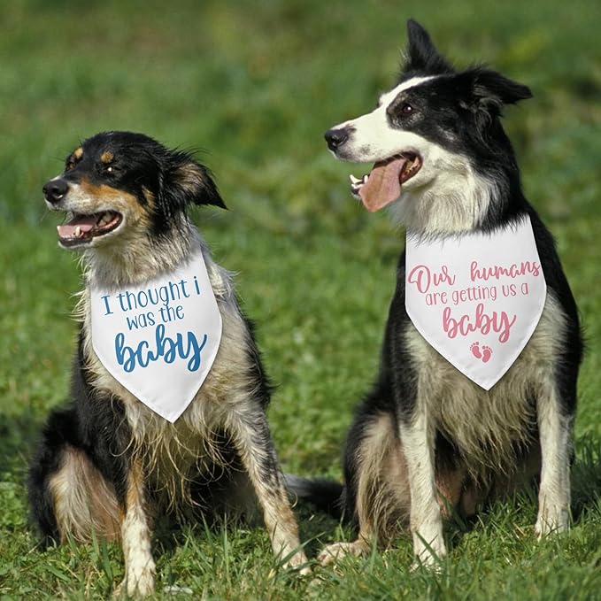 2 Packs Baby Announcement Dog Bandana Our Humans are Getting Us a Baby Gender Reveal Pet Dog Triangle Scarf Accessories Pregnancy Announcement for Small Medium Large Dogs Cats