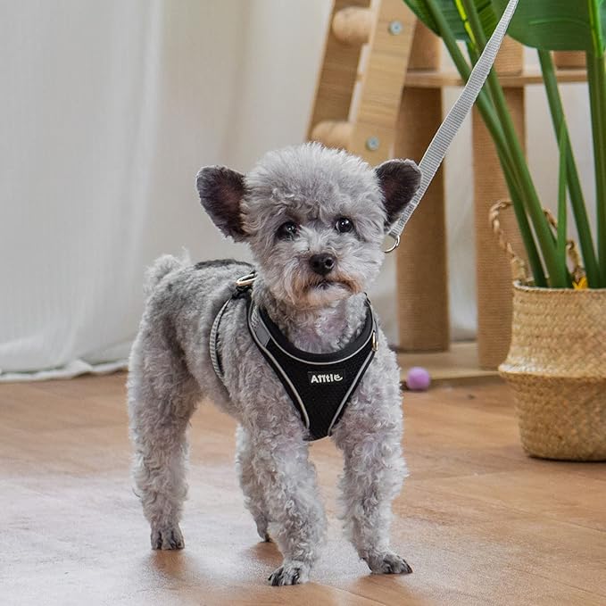 AIITLE Comfortable Dog Harness and Leash Set for Walking - Step in Vest Harness,Reflective Bands, Adjustable No Pull Puppy Essentials, for Small Dogs and House Cats Black XS