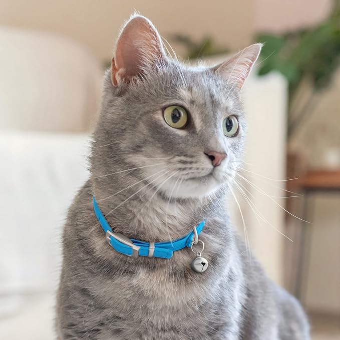 CollarDirect Leather Cat Collar with Bell - Kitten Collar, Small and Big Cat Collar for Boy Cats, Girl Cats with Safety Elastic Strap (Neck Fit 6"-7", Light Blue)