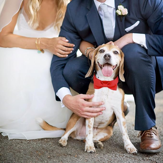 Segarty Dog Bow Ties for Small Medium Dogs Neck Girth 10.2-14.2in, Adjustable Red Bowtie Collar Cat Necktie Comfortable Cotton Girl Pet Grooming Accessory for Formal Wedding Holiday Birthday Valentine