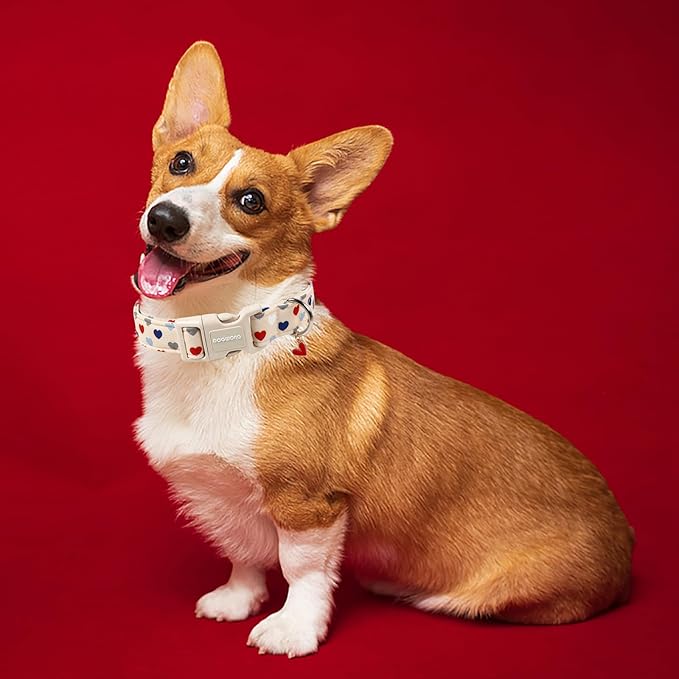 DOGWONG Valentine's Dog Collar-Hearts Print Dog Collar for Large Cute Dog Collars Spring Female Male Pet Gift Adjustable Heavy-Duty Soft Collar，L