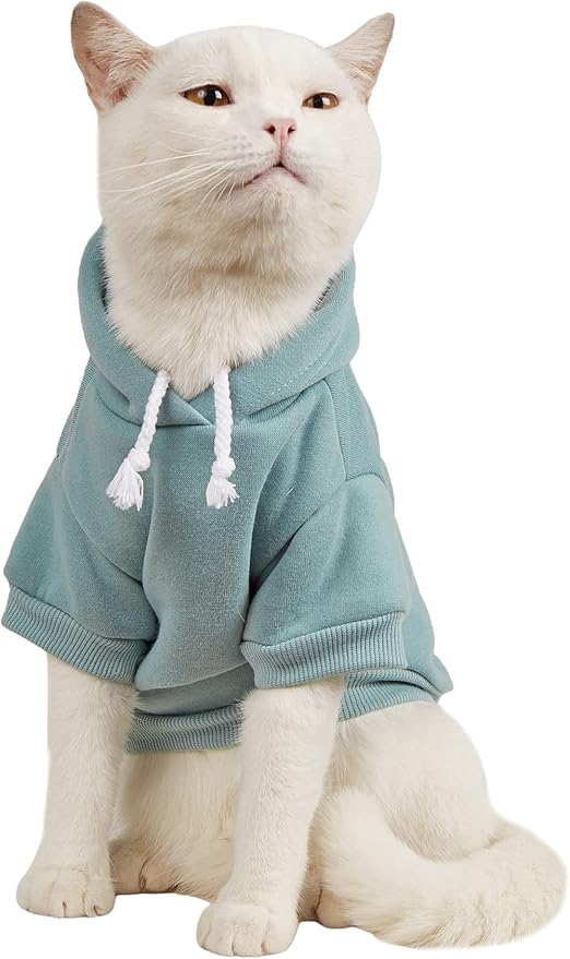 QWINEE Basic Dog Hoodie Sweatshirt Puppy Sweater Warm Cat Costumes Pet Clothes for Chihuahua Puppy Kitten Small Medium Dogs Cadet Blue X-Large