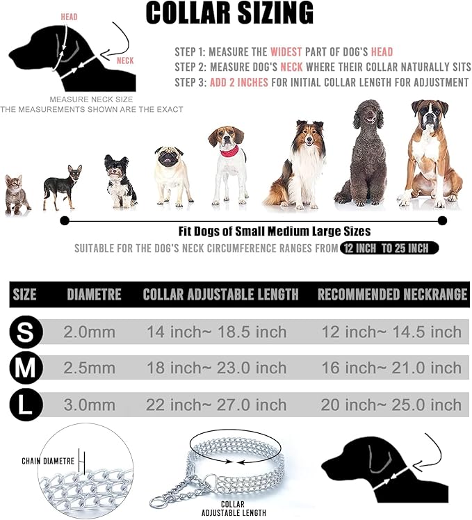 Silver Dog Choker Collar,2 Rows Stainless Steel Dog Chain Cuban Link Metal Martingale Collar Heavy Duty Training Choke Collar for Small Medium Large Big Breed (Silver, S(Neck Max 12inch) D2.0mm)
