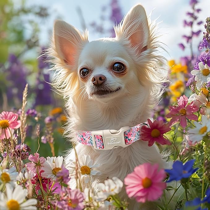 Floral Dog Collar, Cute Girl Dog Collars - Pastel Wildflowers Pattern Spring Summer Puppy Collar, Adjustable Female Dog Collars for Small Medium Large Dogs M