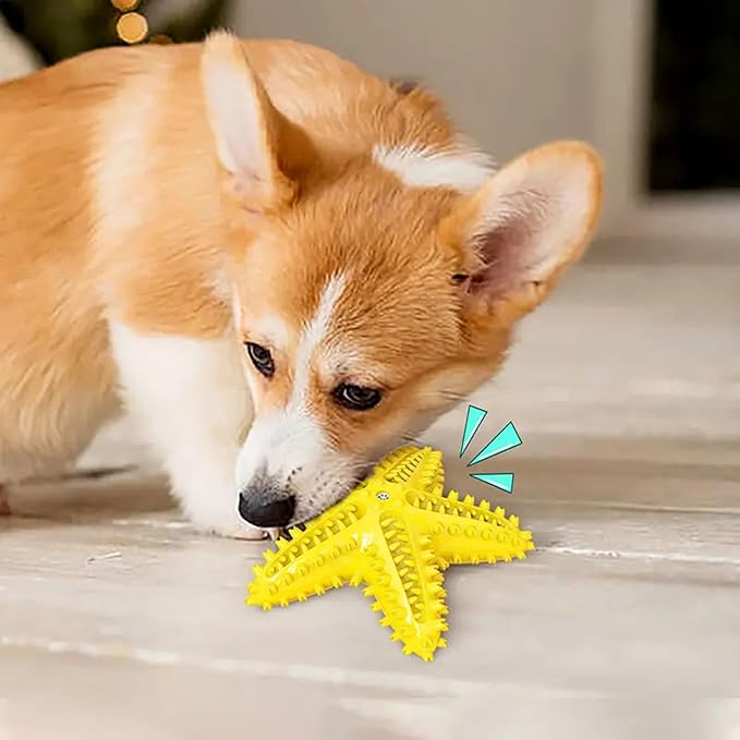 Chew Toy for Dog Toothbrush Stick Dog Toys for Aggressive Chewers Interactive Toys Treats Tough Toy to Keep Them Busy Chew Toys for Small Dogs (Star Toy - Yellow)