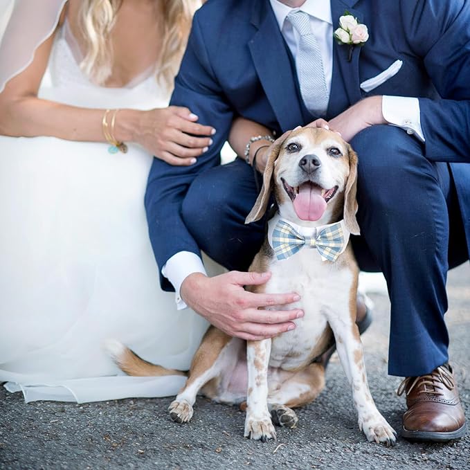 Segarty Dog Bow Tie Neck Girth 10.2-12.6in, Adjustable Blue Plaid Bowtie Collar for Dogs, Medium Dog Tie Tuxedo Comfortable Cotton Boy Pet Grooming Accessory for Formal Wedding Holiday Birthday Party