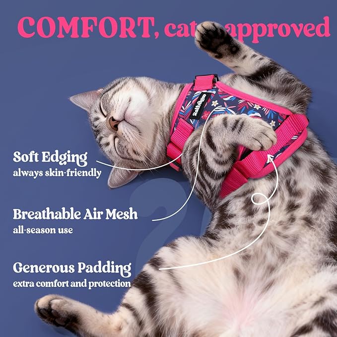 rabbitgoo Cat Harness and Leash for Walking, Escape Proof Soft Adjustable Vest Harnesses for Cats, Easy Control Breathable Reflective Strips Jacket, Coconut Fuchsia,XXS