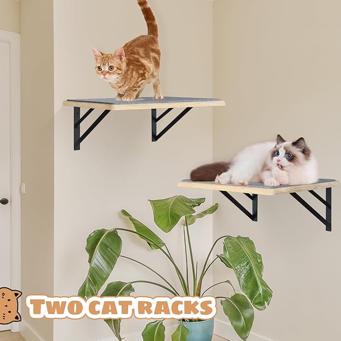 Burlywood Cat Furniture Indoor Set of 2: Wood Shelves with Scratching Pad, Climbing Shelf for Sleeping & Playing, Window Perch for Big Cats