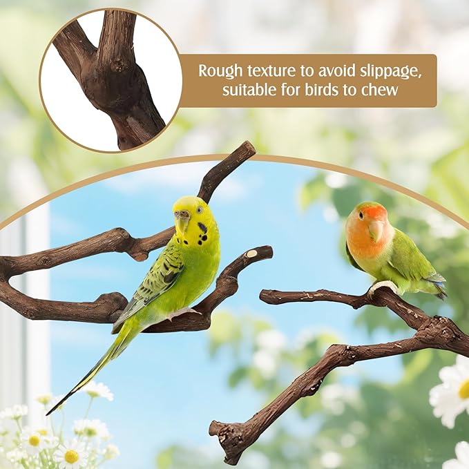 PINVNBY Natural Parrot Perch Grape Wood Bird Stand Pole Parakeet Paw Grinding Fork Chewable Climbing Branches Toy Bird Cage Accessories for Budgies Conures Cockatiels Lovebirds (2 PCS, 11.8IN)