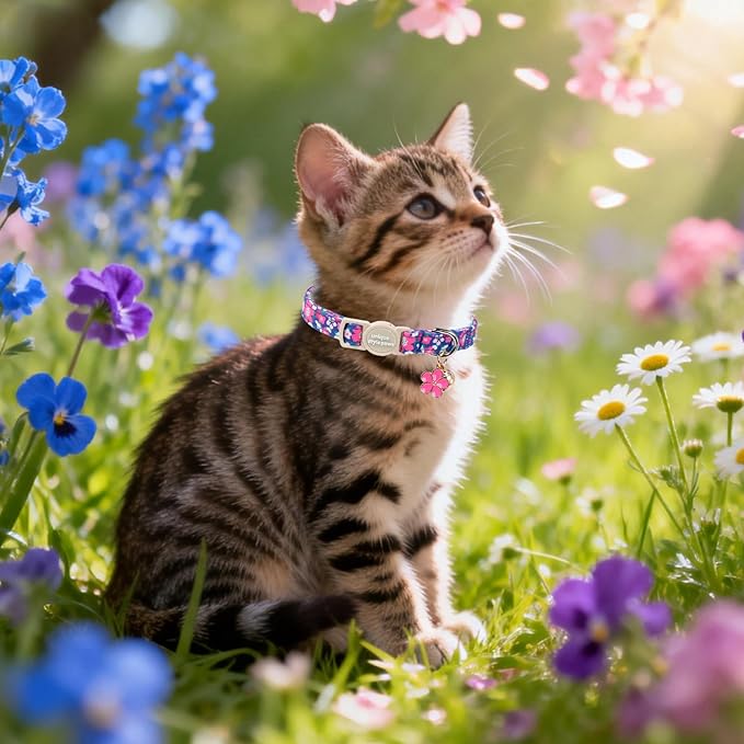 Unique Style Paws Blue Flower Cat Collar,Flower Cat Collars,Blue Kitten Collar Breakaway Buckle,Adjustable Spring Summer Puppy Collar,Ideal Gift for Boy Girl Cats