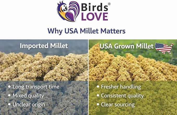 Birds LOVE Millet Tips & Tails for Birds - Parakeets, Cockatiels, Lovebirds, Finches, Budgies, Canaries, Cockatoos - Natural & Healthy Millet for Birds - Parakeet Food & Treats for All Parrots, 1lb