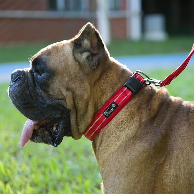 EXCELLENT ELITE SPANKER Reflective Dog Collar Classic Soft Padded Breathable Nylon Adjustable Pet Collar with Quick Release Buckle for Boy Girl Male Female Small Medium Large Dogs Training(Pink-XL)
